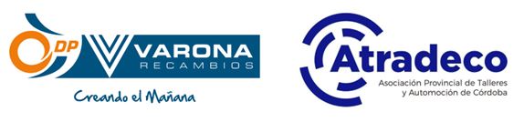 https://campusdp.dipart.es/